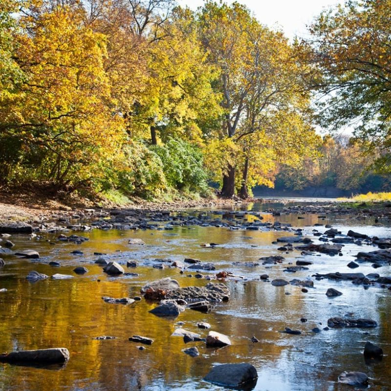 Stream lined with autumn foliage reflecting vibrant colors on a sunny day, enhancing the serene landscape.